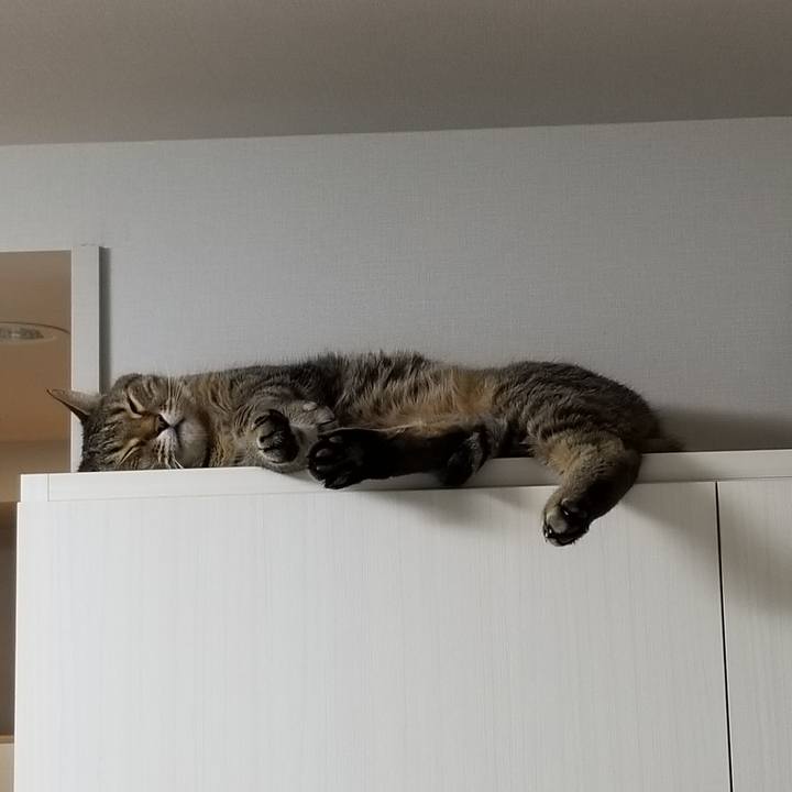 4aa89082 75f2 494e ad31 112f12f1190e 1621892294675