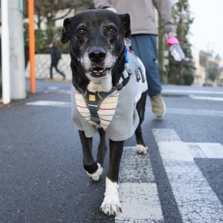 4aa89ba1 2121 4d18 89ca db9e97ce9b99 1766624125888