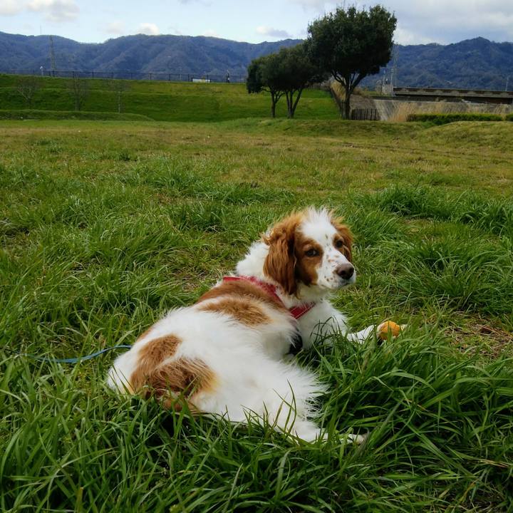 4aa8ceff a12f 48d8 8ac3 399e0fe24163 1554192349079