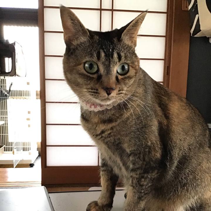 4aa8f70f 38be 49db b830 25328f44f7e0 1652509240944