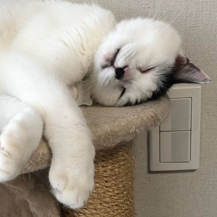 4aa959ca 89e7 4920 bf75 2d1b28f5bf32 1540250526972