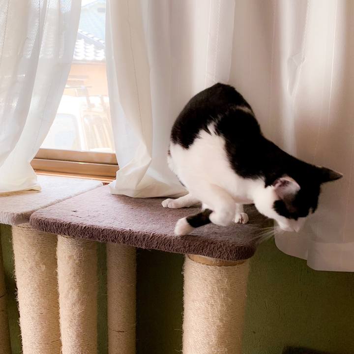 4aa99e9c adde 44ea a992 3b8caf0fb6ed 1563068932605