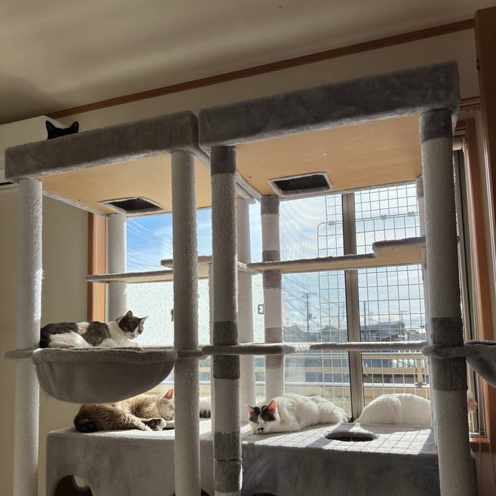 4aa9b8e2 4a89 474d 9549 495141c693df 1735523773641