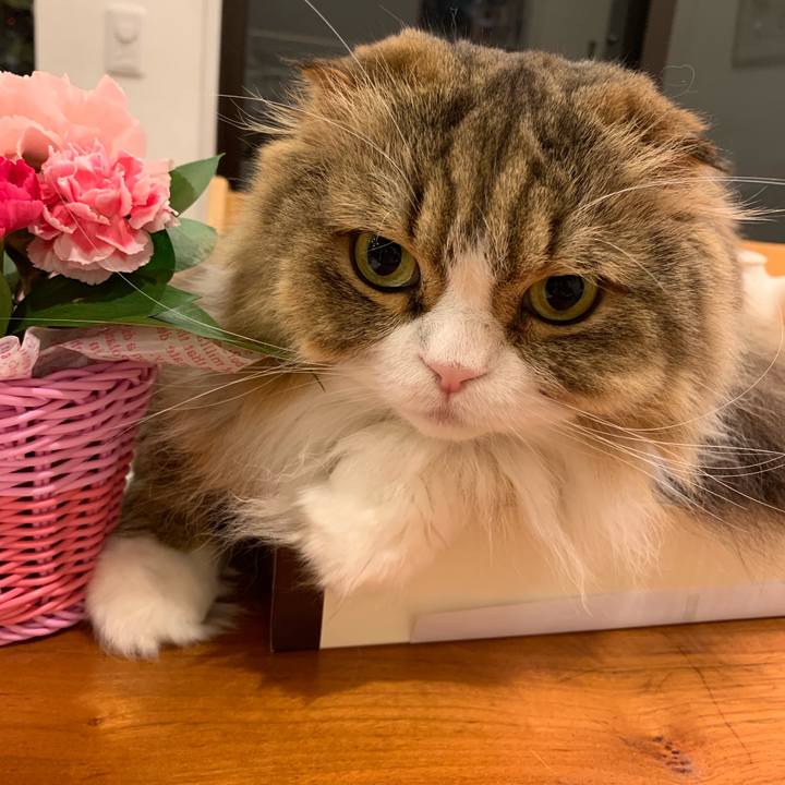 4aa9c8b4 72a1 4c13 ac37 05f3973fb068 1557668855775