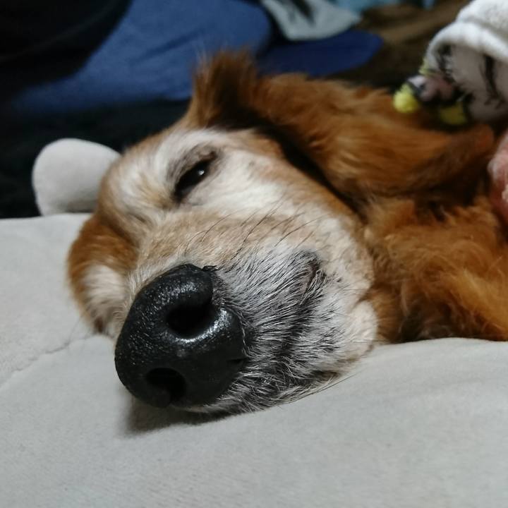 4aa9cd02 a4d5 486a b8b5 7a6f10670e96 1516333698797