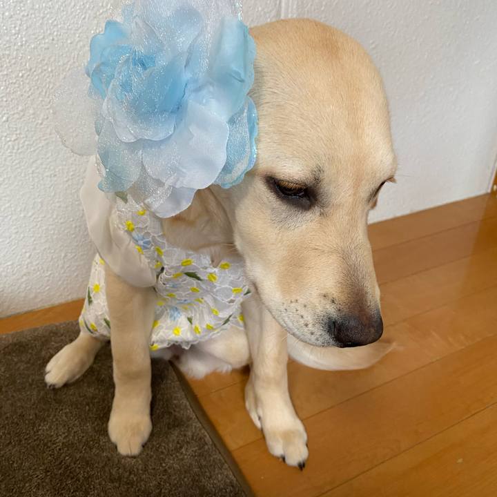 4aa9cef2 2091 4a26 8823 7851c8fecf3c 1618605927056