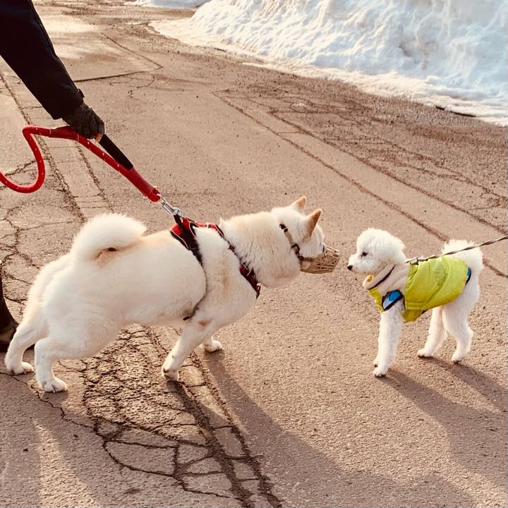 4aa9e9a5 d18f 4475 9ddf 7a73a1fd6345 1678576536885