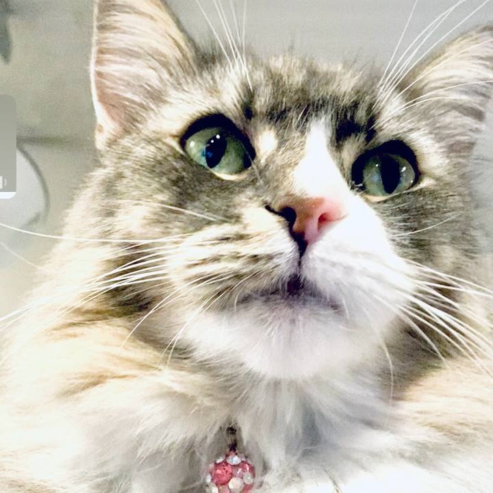 4aa9edfb c6a0 4355 9b95 5148ee31cd28 1763737501283