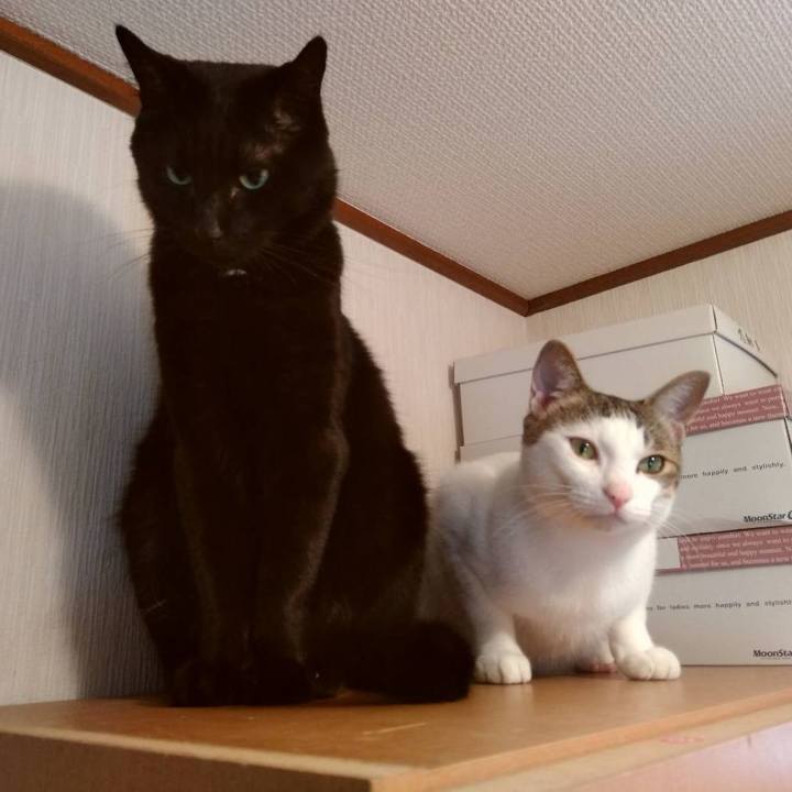 4aaa065f 33c8 4504 bb34 de829fc38588 1664769429959