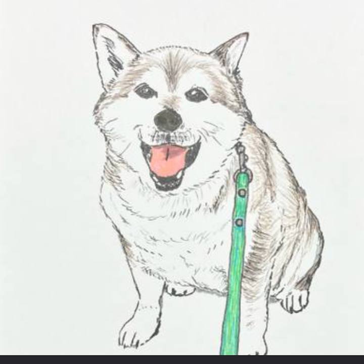 4aaa1d4b 4f39 43a6 abb5 d26eb9b04bd7 1647739177545