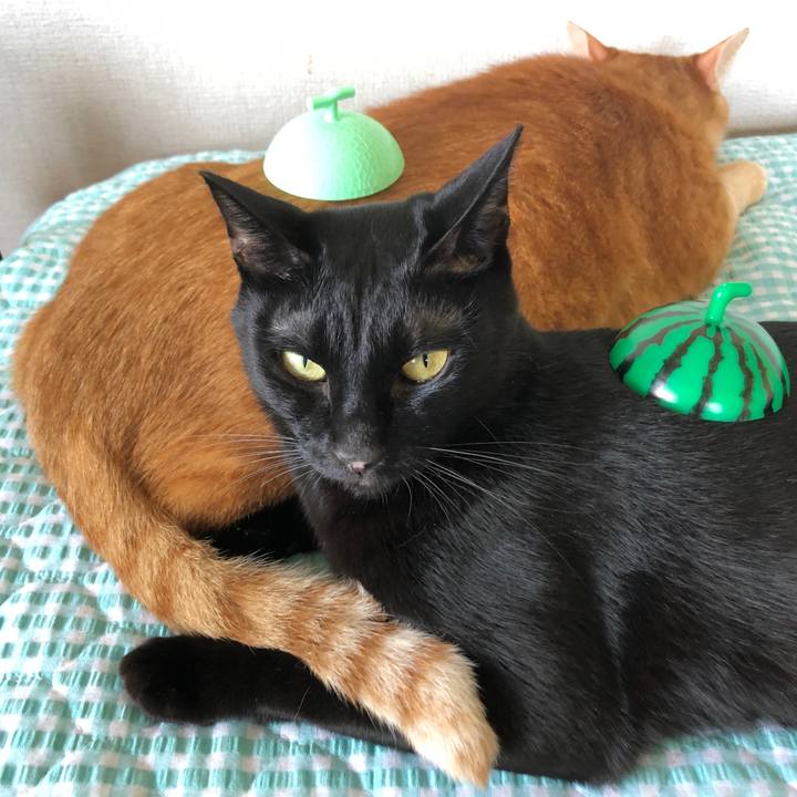 4aaa3fe4 d70b 4875 9184 28b3141345de 1660196715728