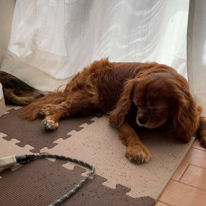 4aaa4b8a 059d 40b5 87cf 2e0b8a176dfa 1713656733591