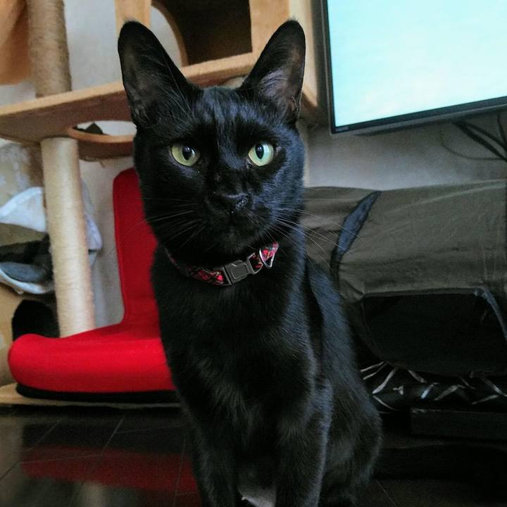 4aaa71c1 b9a6 4b61 a084 2dbb27d5d681 1772060293249