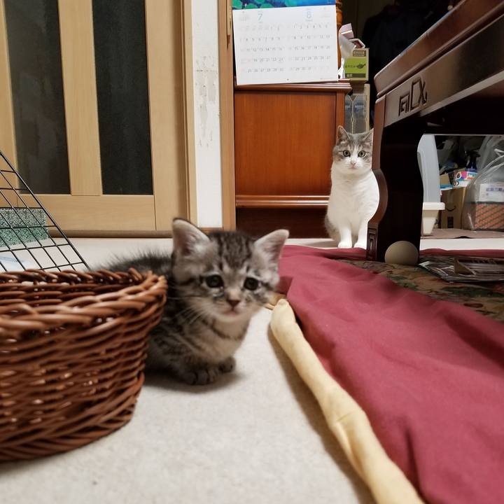 4aaa9690 58c1 4e79 8ce0 dee75e2a921e 1660581433920