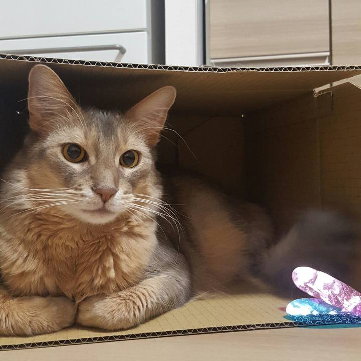 4aaaa237 7fb0 4fb7 958a 1c6f17c05d21 1547126421387