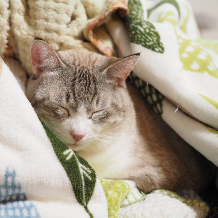 4aaab8c9 d400 4d09 a894 5151d1082717 1610024571914