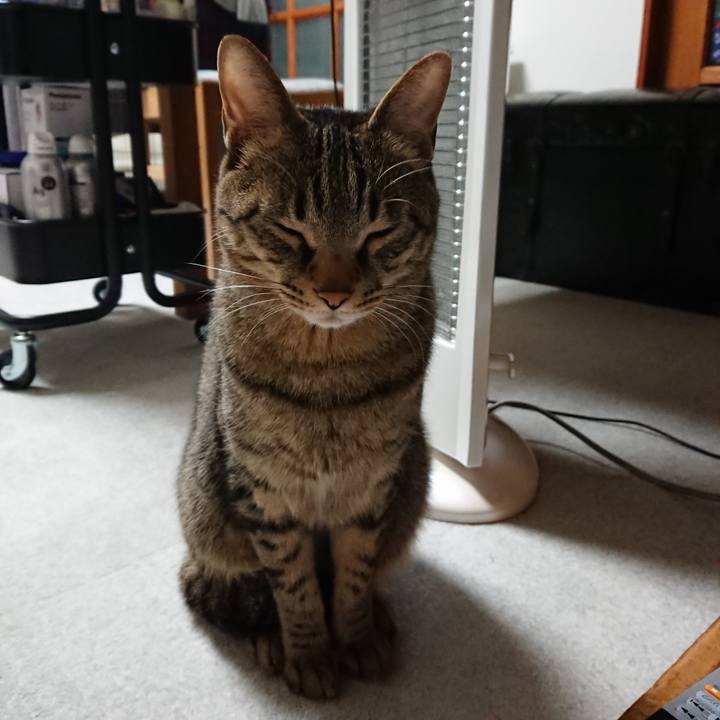 4aaabeec 11e8 4f75 8cb3 3b23d2493b26 1521475638101