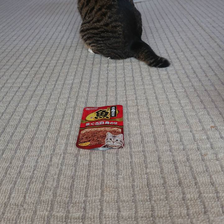 4aaaeb2b 427e 4d2a b139 b192e5a11ed2 1605832585358