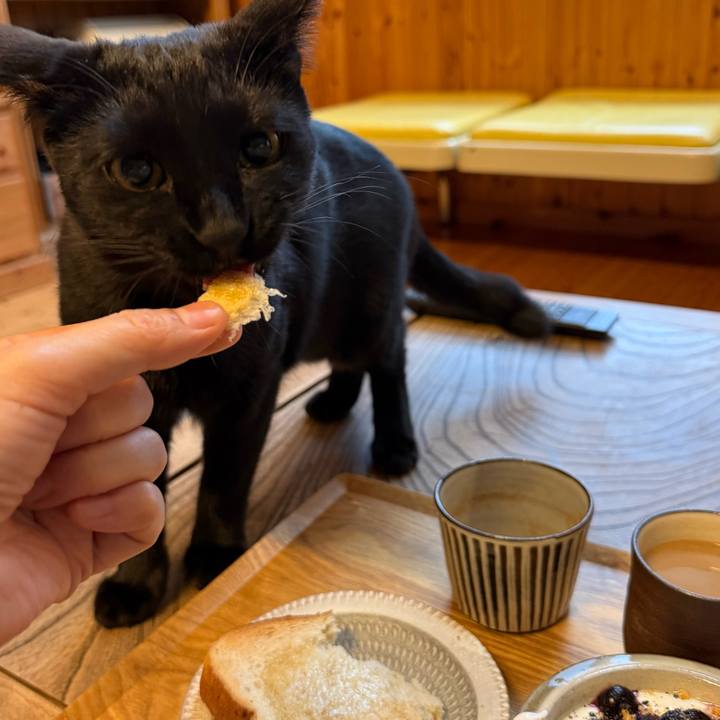 4aab2a36 c6d2 44a6 8840 fc6bab6ef680 1763768021361