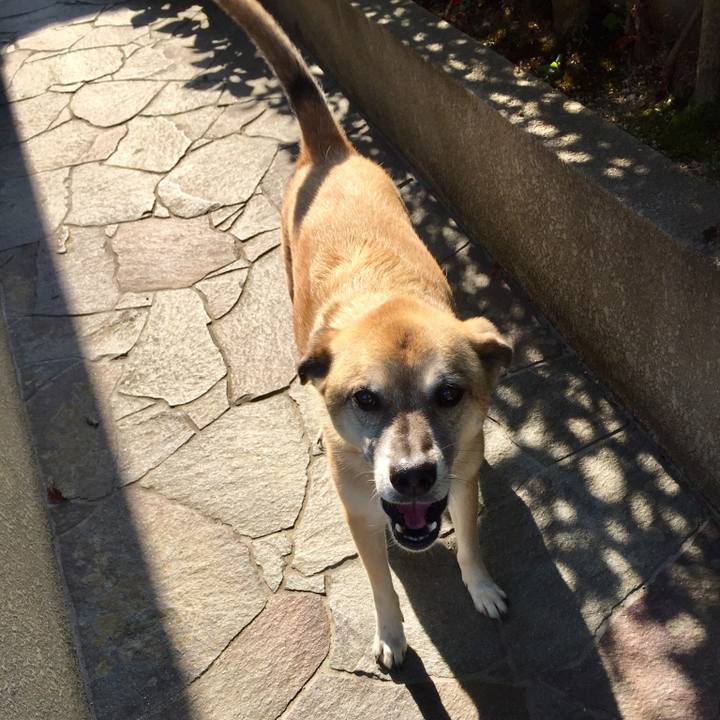 4aab2cbe f086 4c6b 9342 76da01cf120f 1532596493487