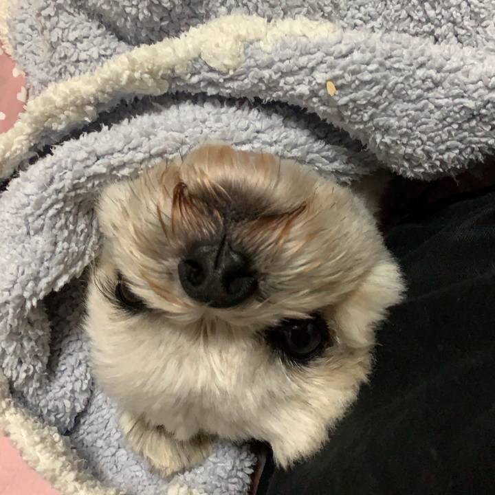 4aab31ab c36c 4f71 94cd 0a9dddde6a5e 1597235072700