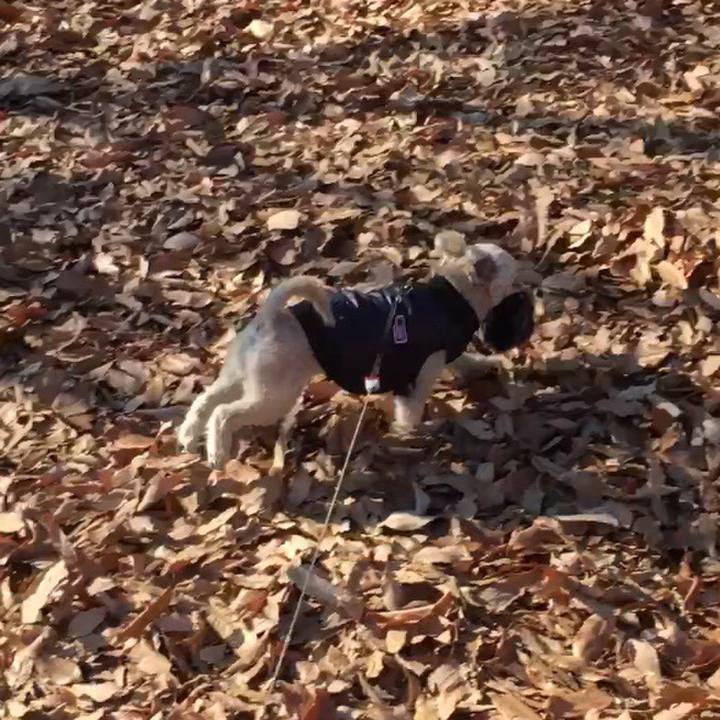 4aab40e2 de34 4dd2 bd97 caa5e89d8259 1547456107694