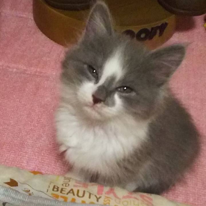 4aab5aec d306 42ce 938f b38cb652d3b8 1560468878793