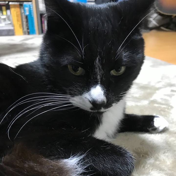 4aabb398 e485 4d0f 94c7 ea91f9440f2f 1675913719982