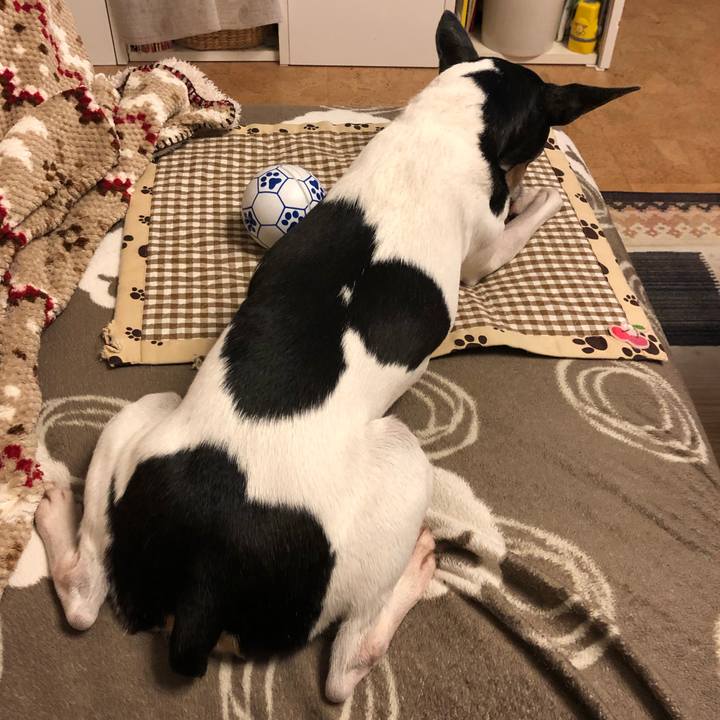 4aabc12e 4e1e 4b4a a7b0 14efcbe2c0e8 1549196752026