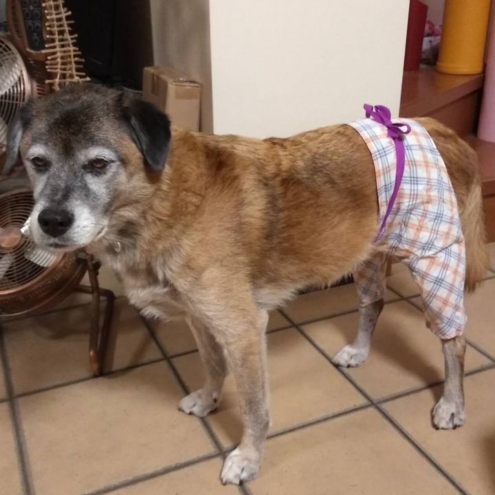 4aabc7f8 b37d 4427 8b12 21657d180509 1570398490159