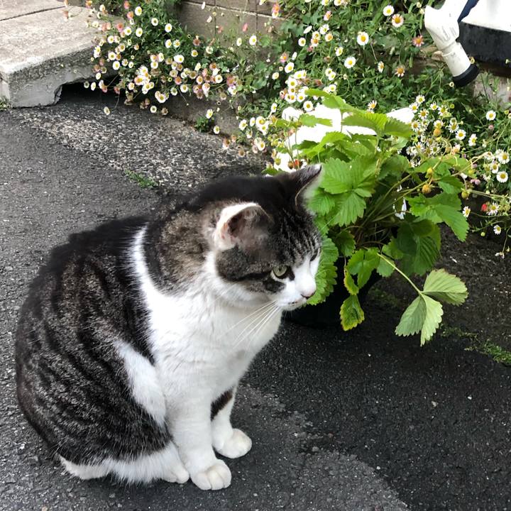 4aabca6f 41cd 401e 9f90 9f91d20a3f56 1588382641255