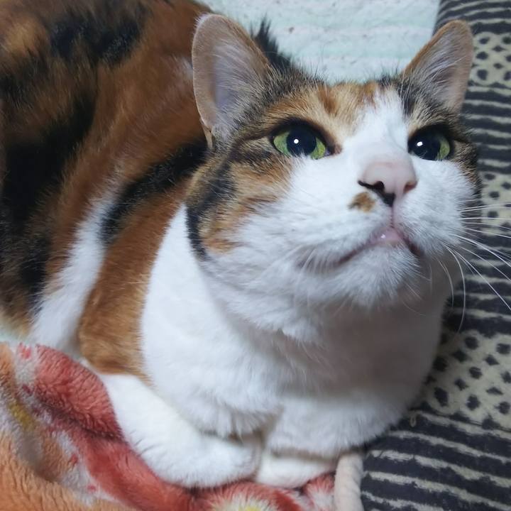 4aabe522 758a 46cd 83b8 efca670841b8 1559945470121