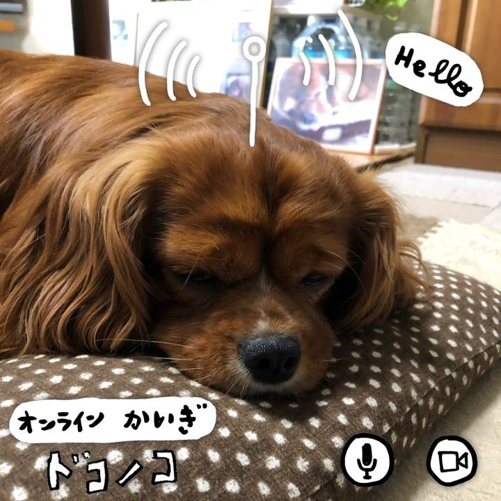 4aac1b78 483e 4f9b bc69 90024f56c9cd 1591223476270