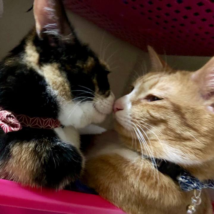 4aac36df 9ab0 4f90 8b44 3c9da7126851 1556714047140