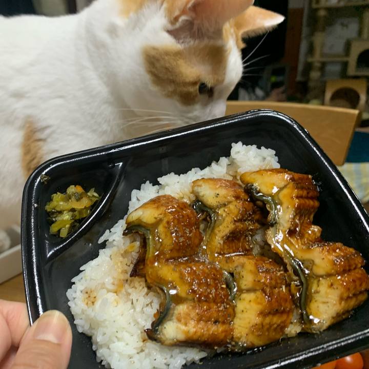 4aac608e 77a3 4c85 aac7 4d8661d307a7 1595332838512