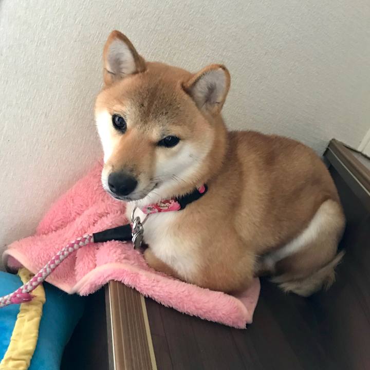 4aac81d1 d052 4f36 87b0 b3fcca29b654 1515816975025