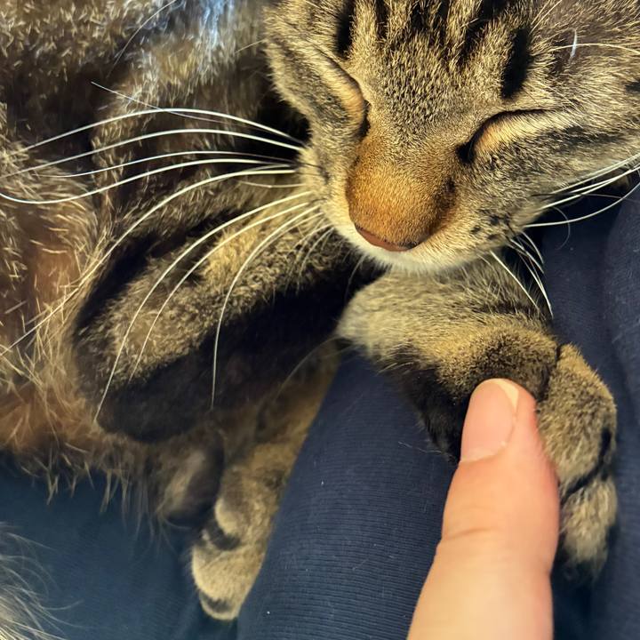 4aac9157 631f 4b31 87aa ef6d7156c3fb 1751762645291