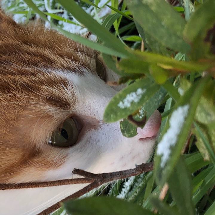 4aace53b fa7f 43c7 909e c66de1582fa5 1546137032589