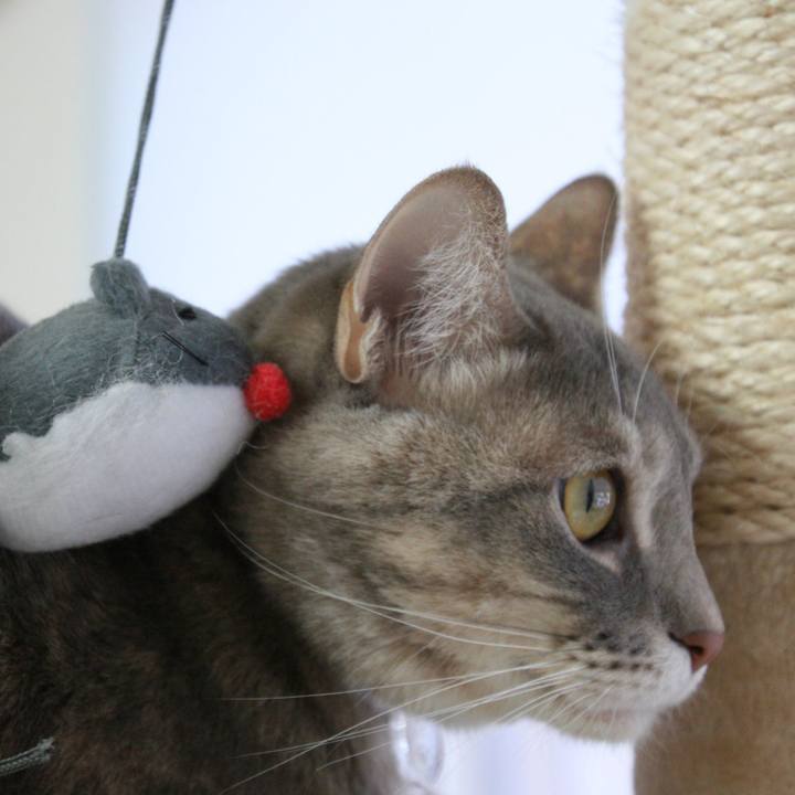 4aacf5a2 1346 4a0f beda d59a40855623 1515123284804