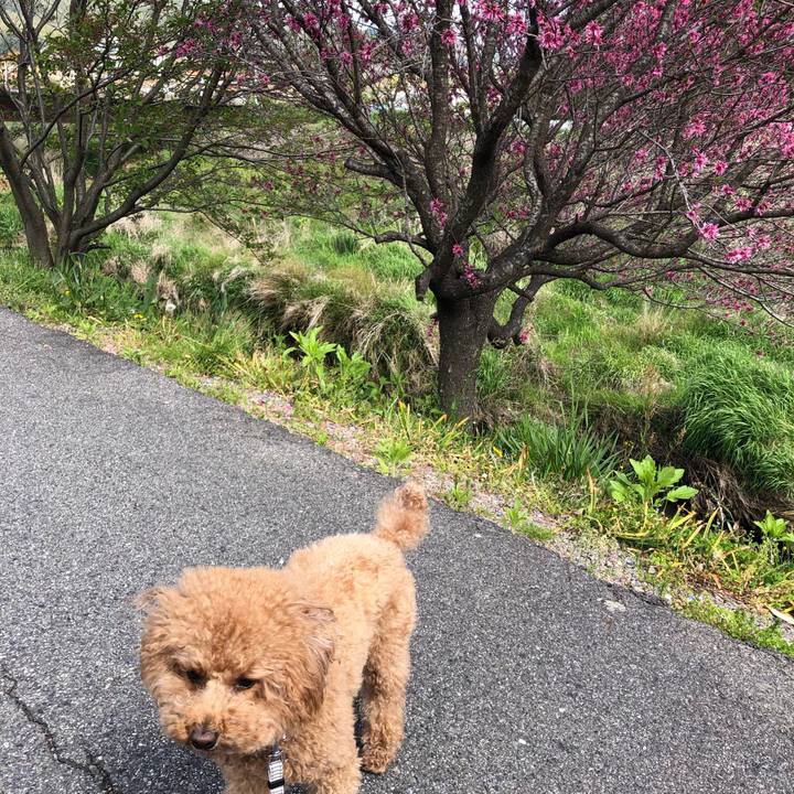 4aacf5ce 5b32 4443 bfb5 50b190865594 1587616648934