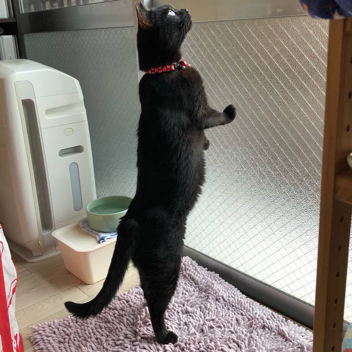 4aad127d 154c 4aae a24c 61ad30ad0246 1630534180832