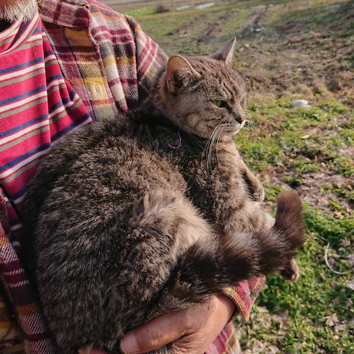 4aad1312 8a66 444a 934c bd2e8cd93851 1581749398466