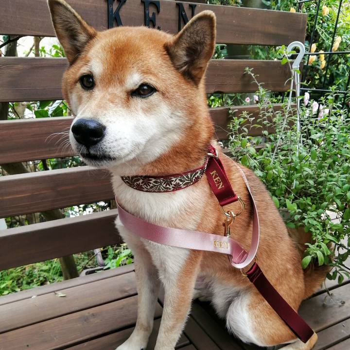 4aad3966 a387 45cd 813a 811939bbe7f5 1637218162492