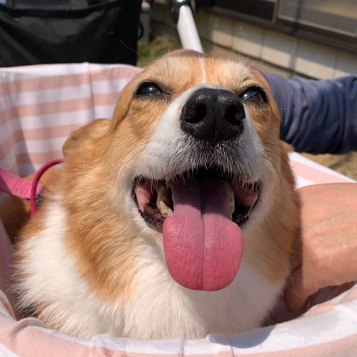 4aad715c 8400 42dd a82c 024b2ac213f2 1681621912681