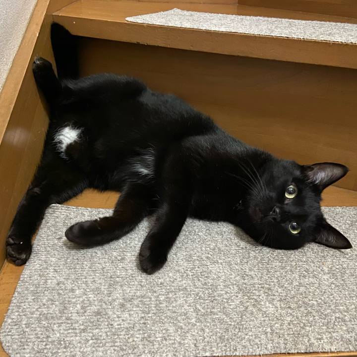 4aad7998 f04d 4f26 9256 e945c9223791 1655378149878