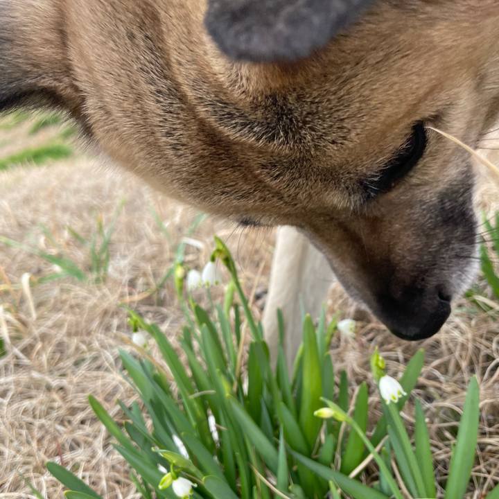 4aad7c2b ac6b 4da1 9911 b7e8d789e3db 1647157010734