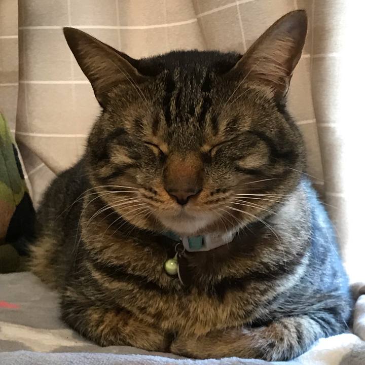 4aad7fec 8114 401c 8700 d20205a13a4c 1560777528211