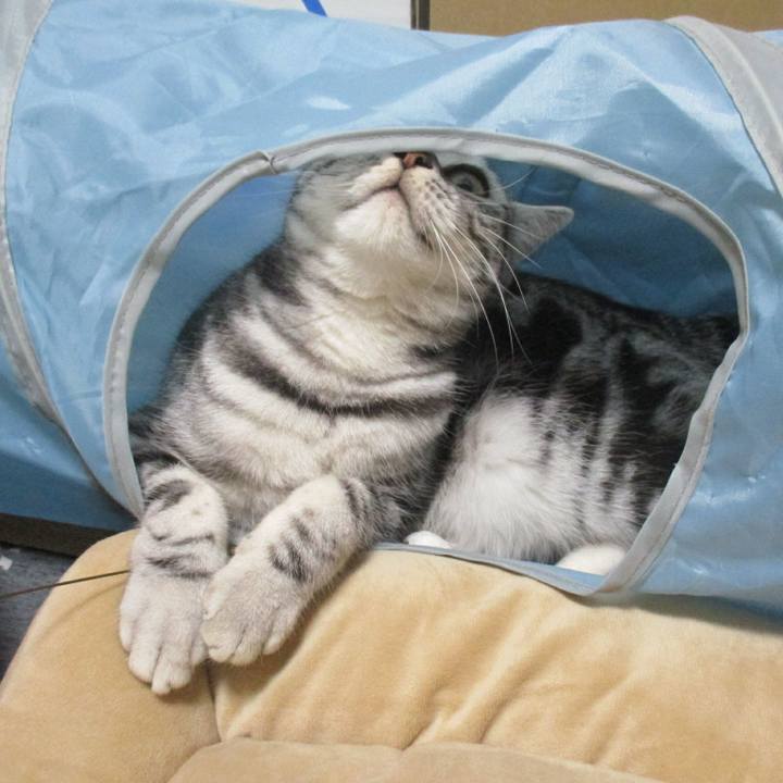 4aad998f d09d 4aea bd19 a24473efd2c5 1551571995905