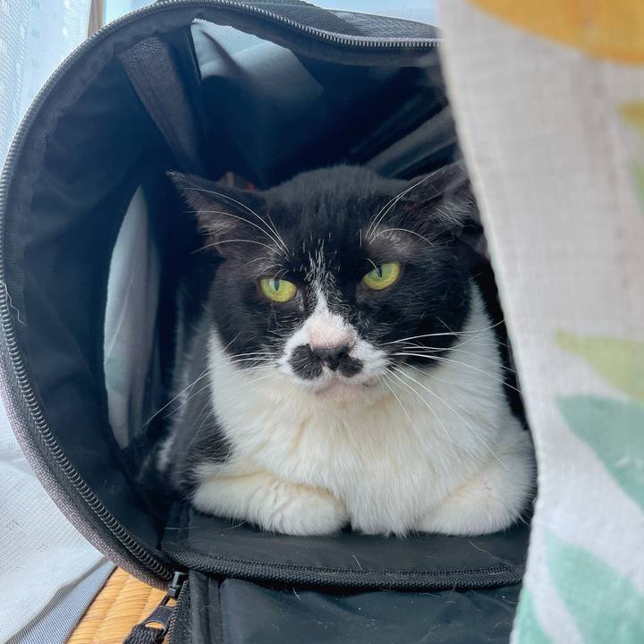 4aad9d7b 7e4e 4126 b36d c15b76d6e2b1 1686198000362