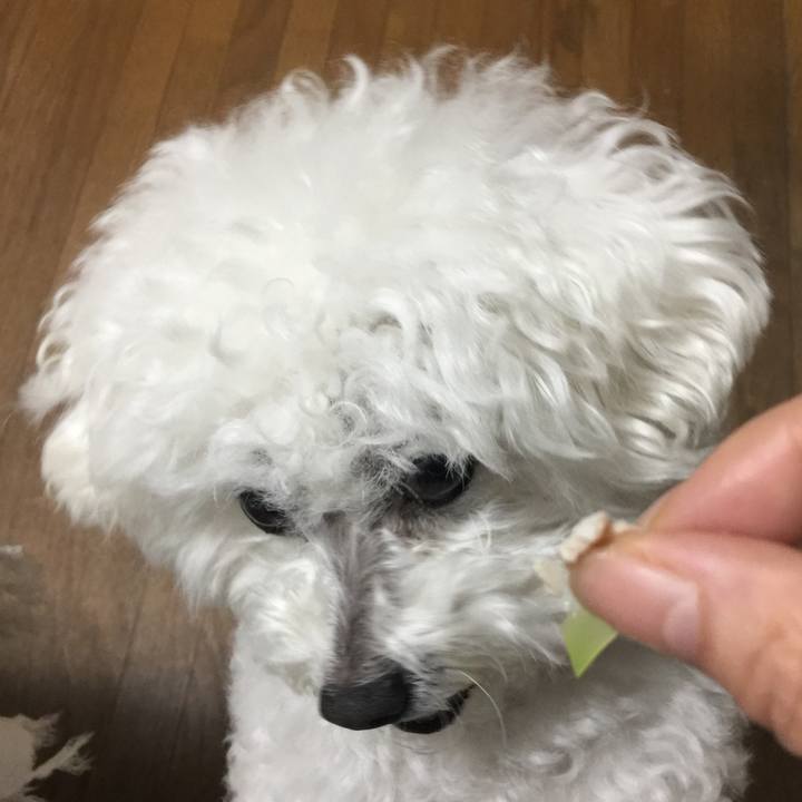 4aad9e0a 46d8 46d7 95f5 60fae00ecc87 1543742245458